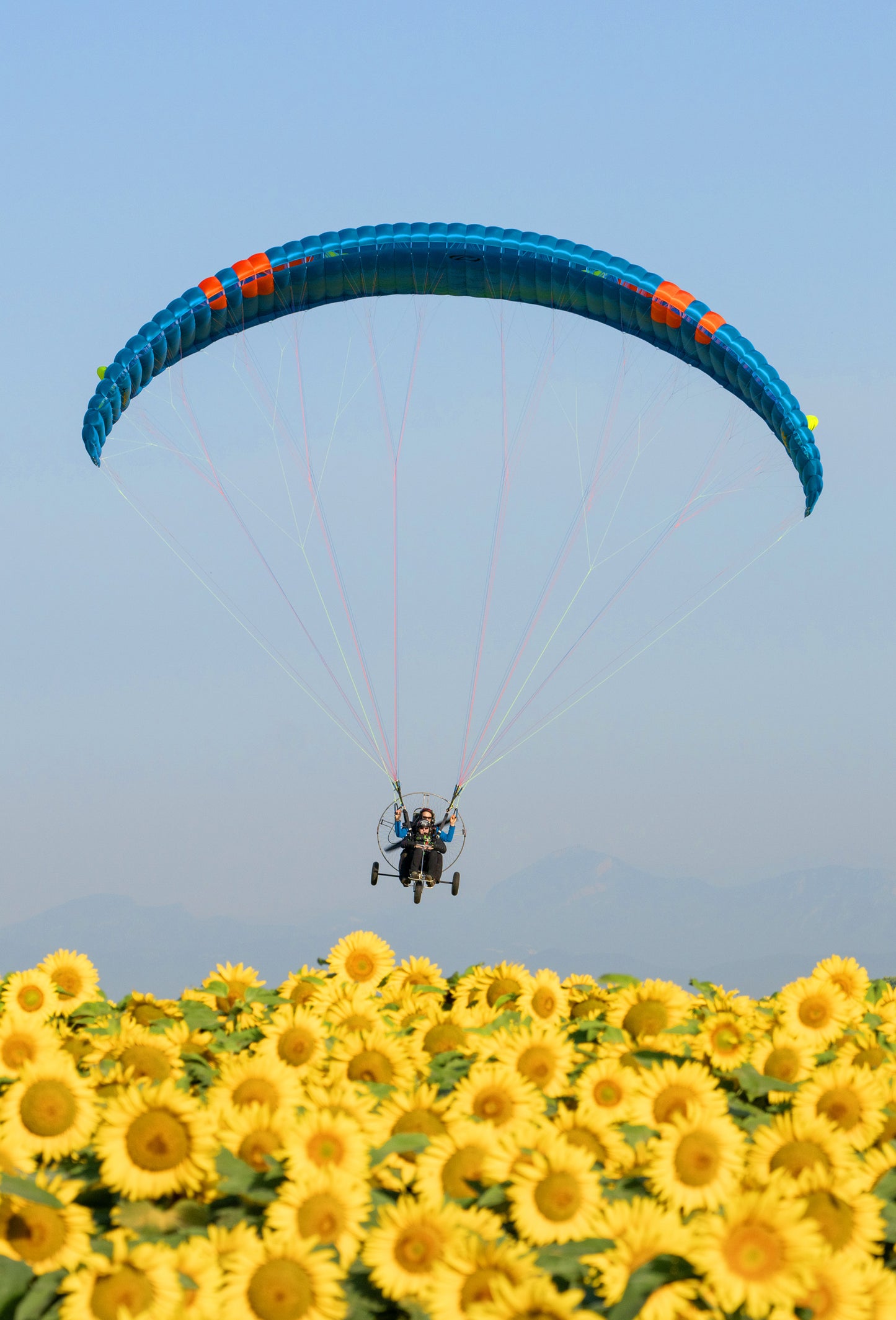 Ozone MagMAX 3