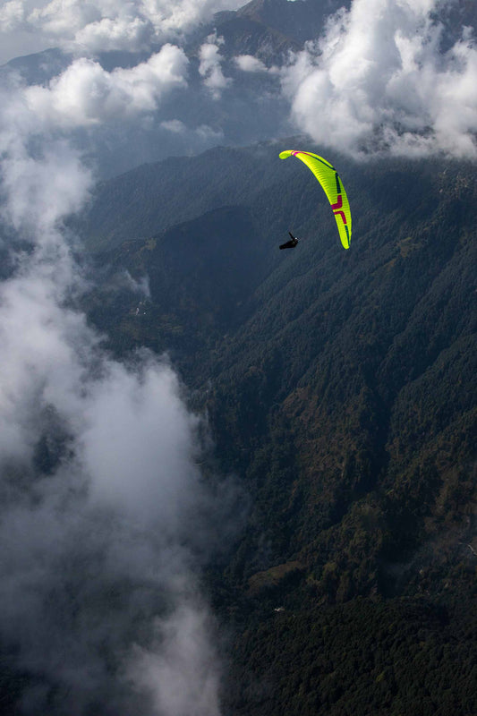 Ozone Zeolite 2 GT