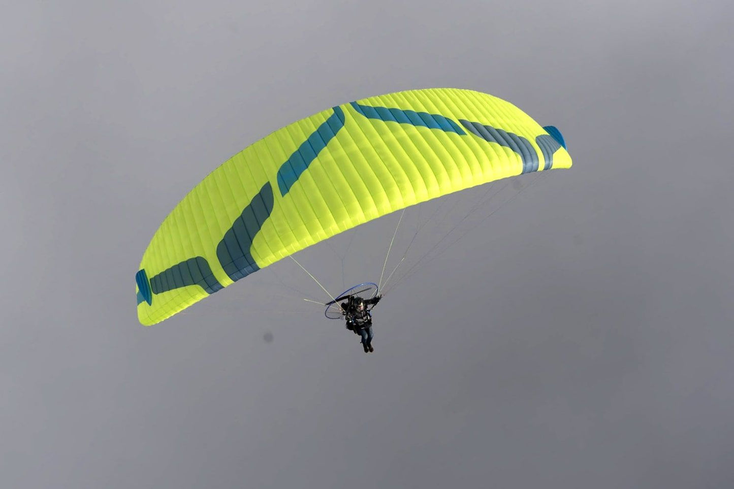 Ozone Viper 6