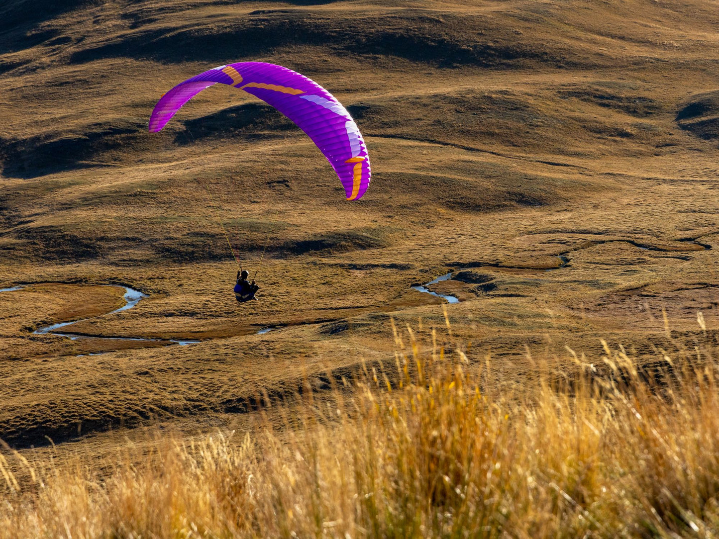 Ozone Vibe GT